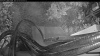 Web Cam Image - Sat, 07/04/2026 2:49am PDT