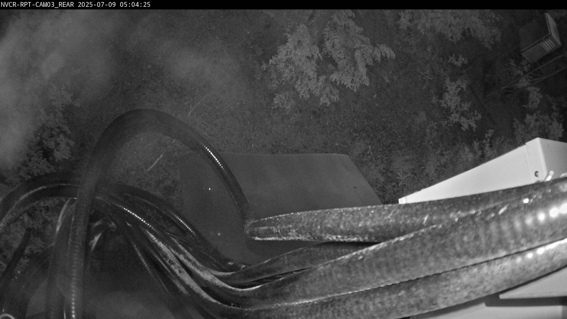 Web Cam History Image - 56