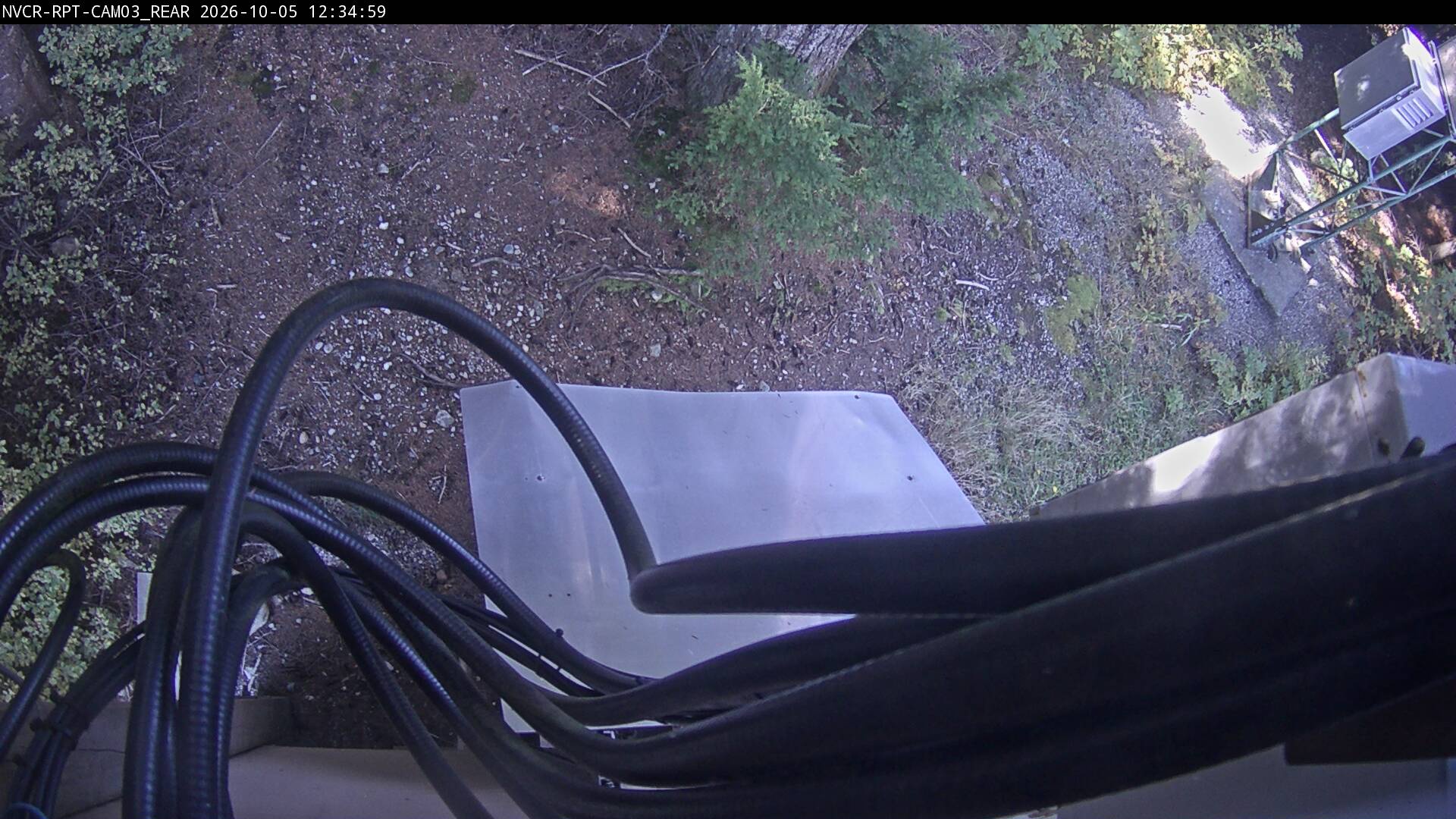 Web Cam History Image - 56