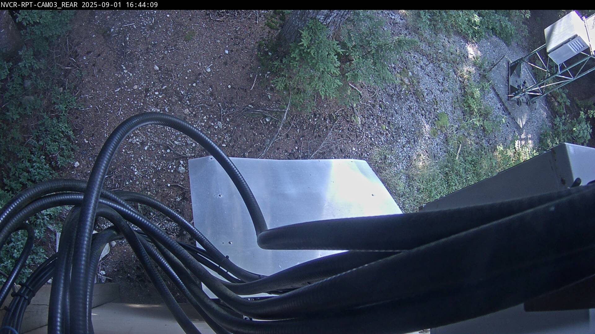 Web Cam History Image - 552