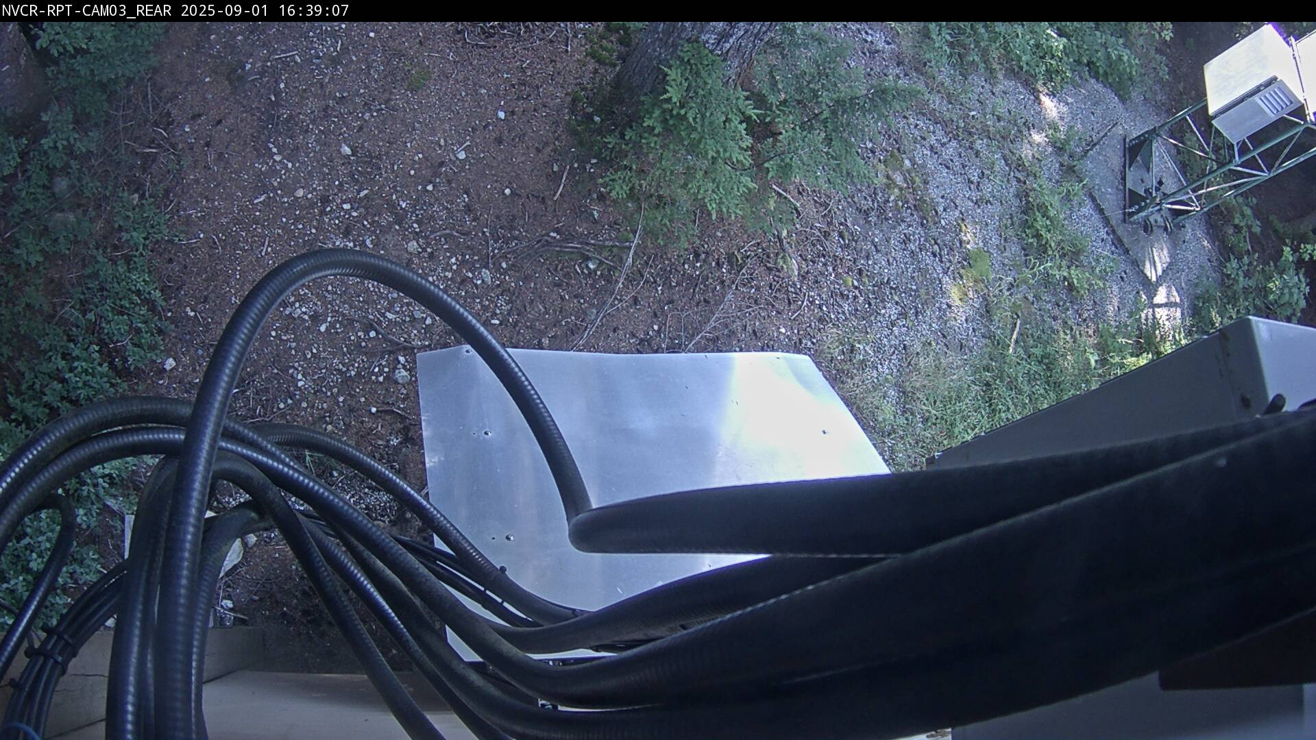 Web Cam History Image - 553