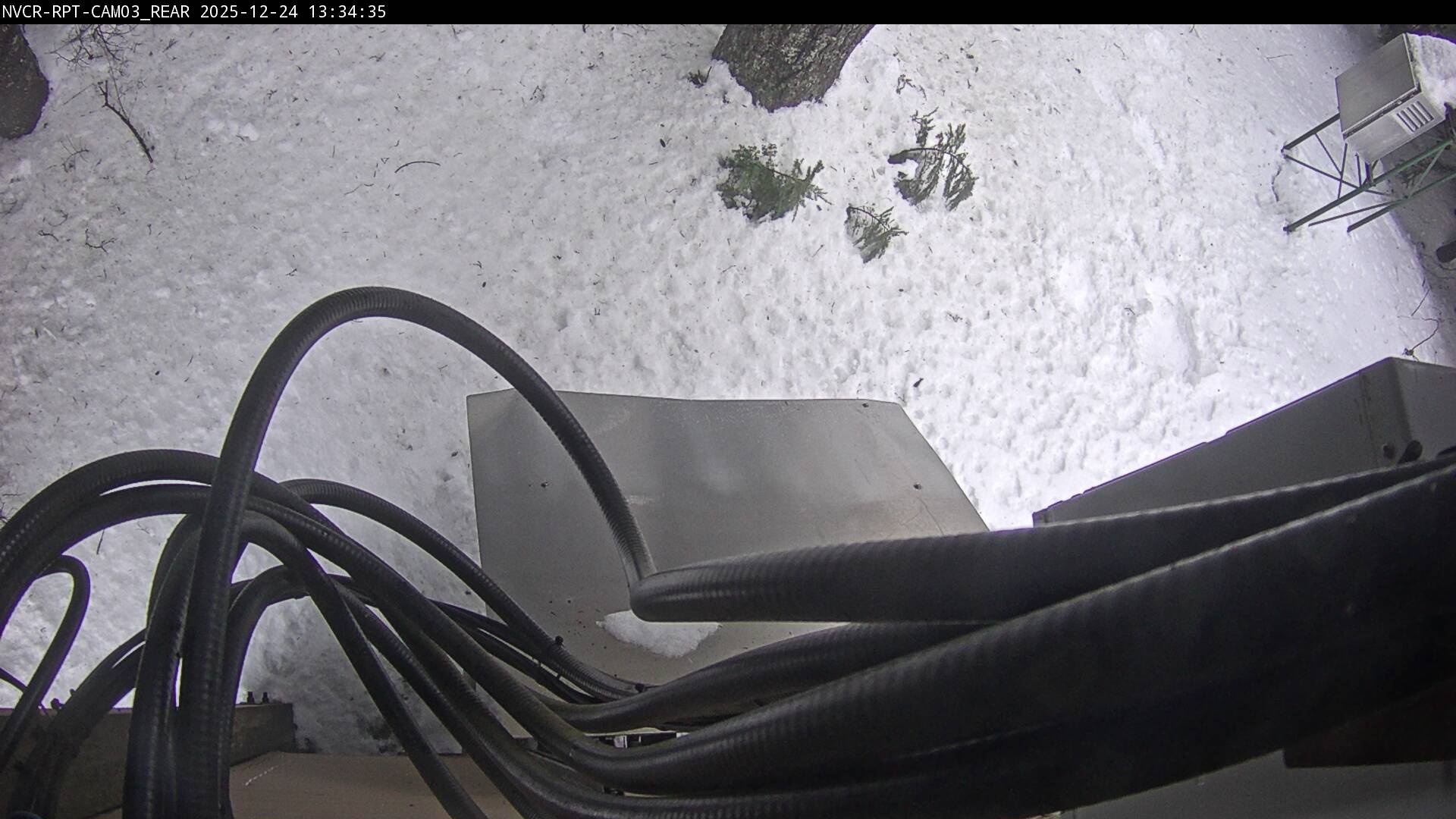 Web Cam History Image - 554