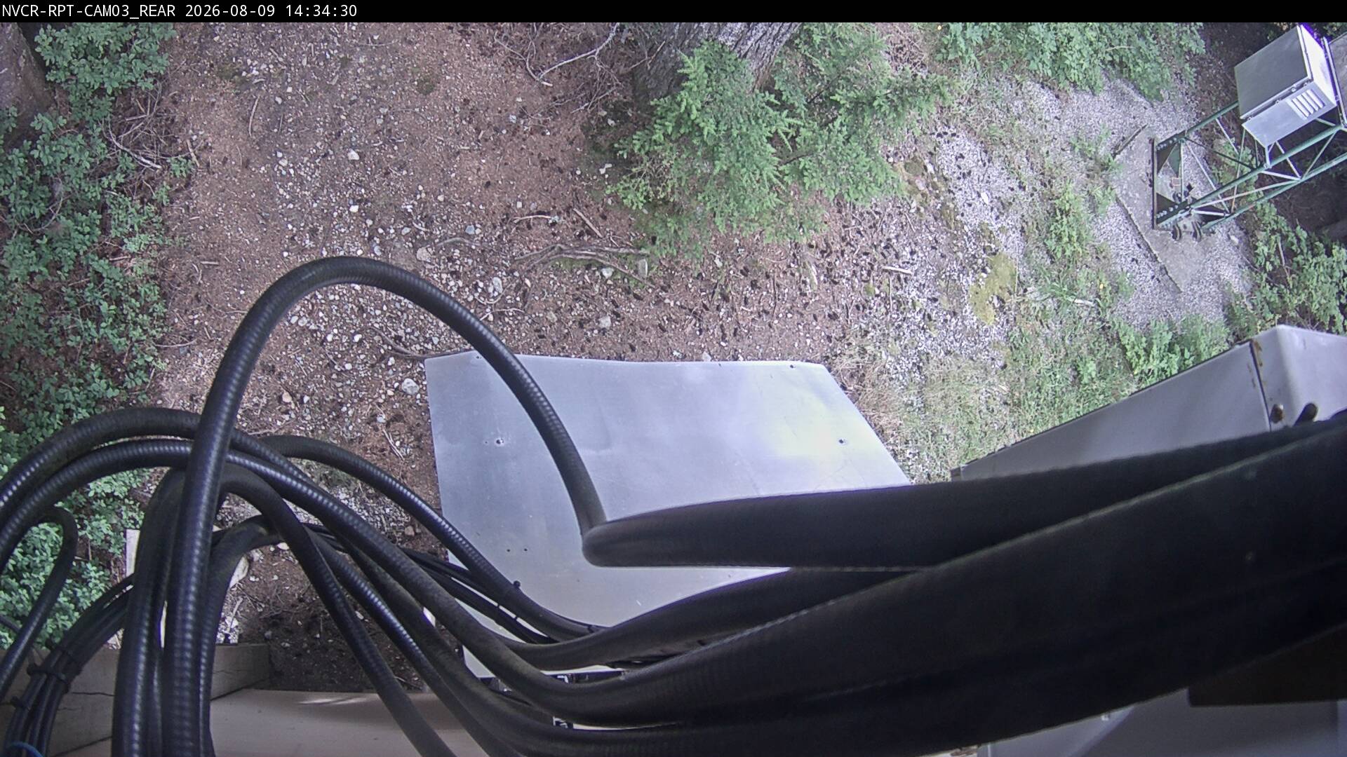 Web Cam History Image - 554