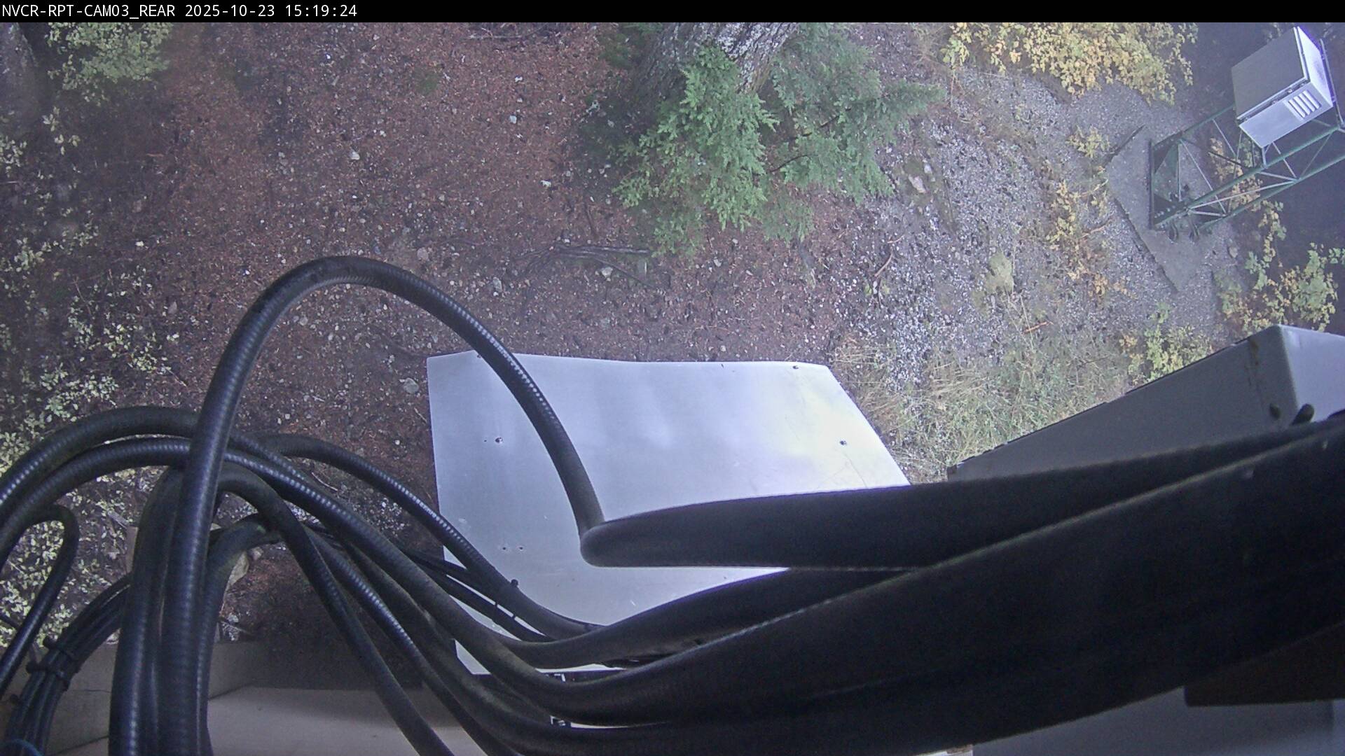 Web Cam History Image - 555
