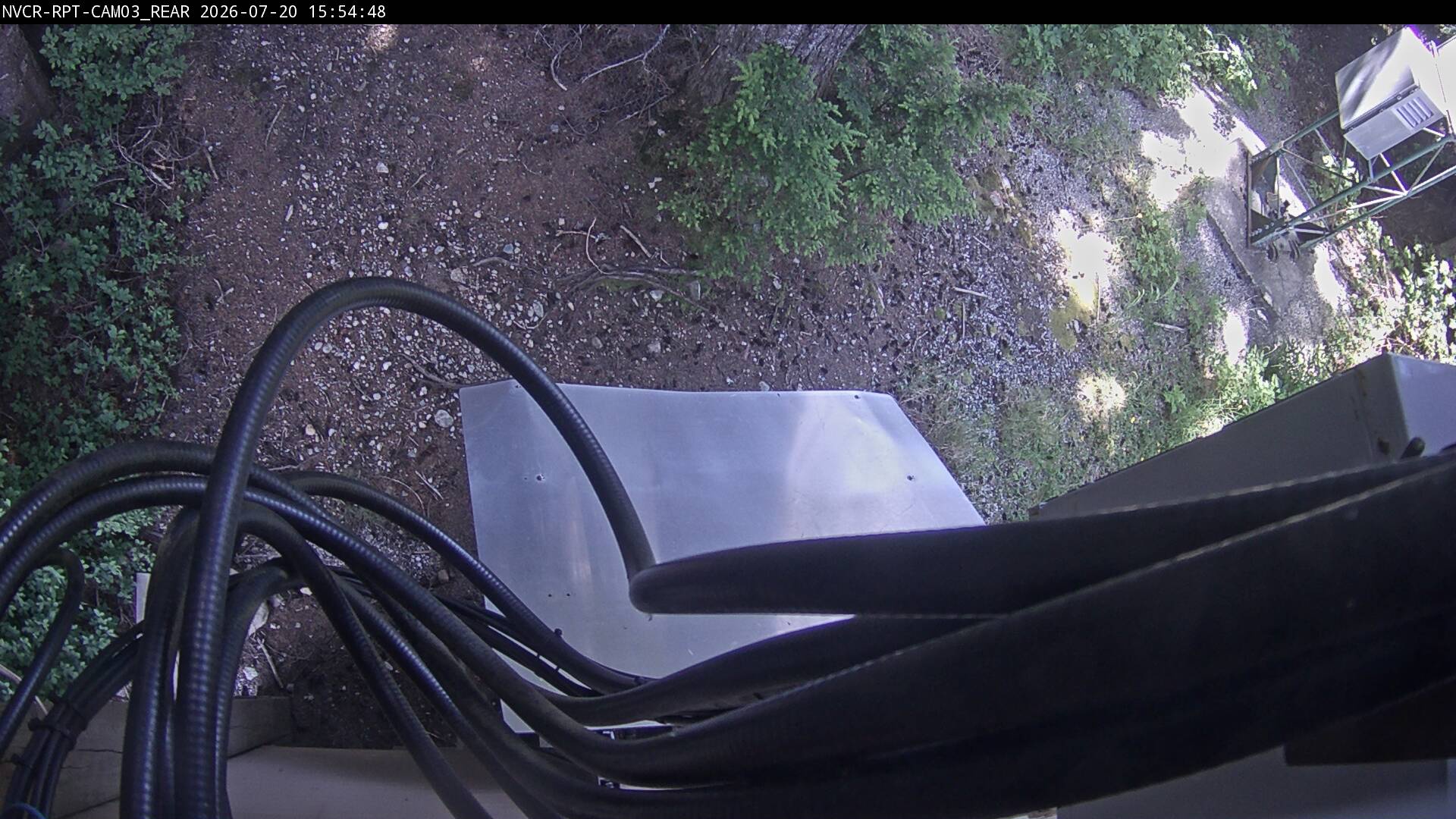 Web Cam History Image - 555