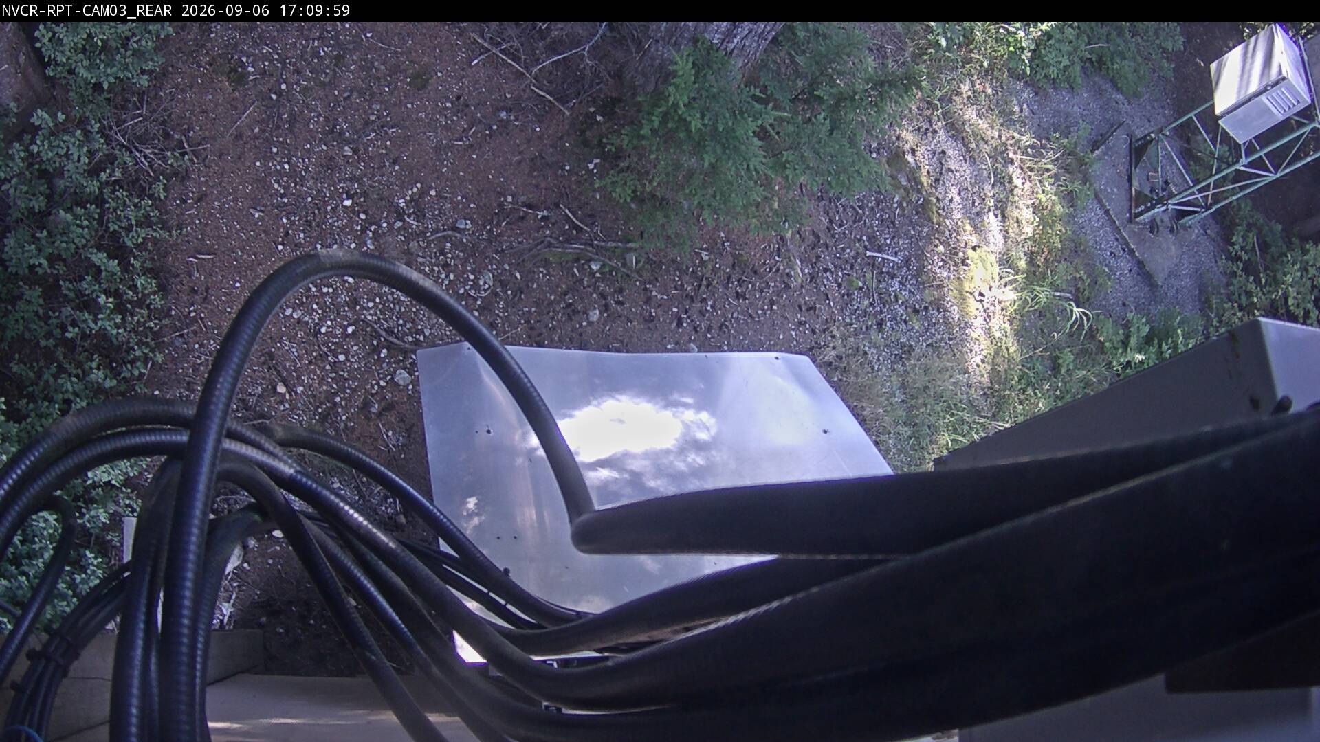 Web Cam History Image - 555
