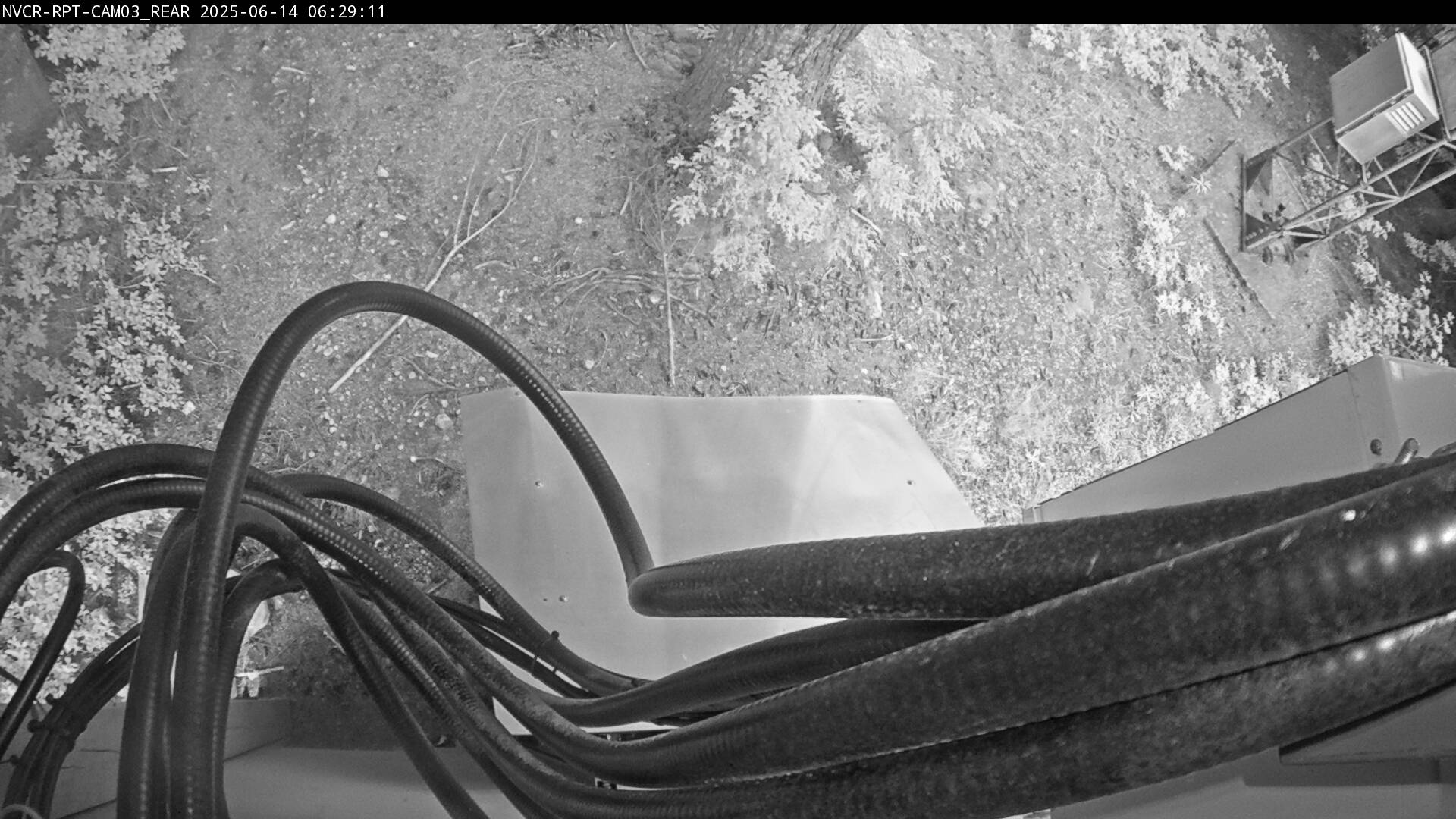 Web Cam History Image - 556