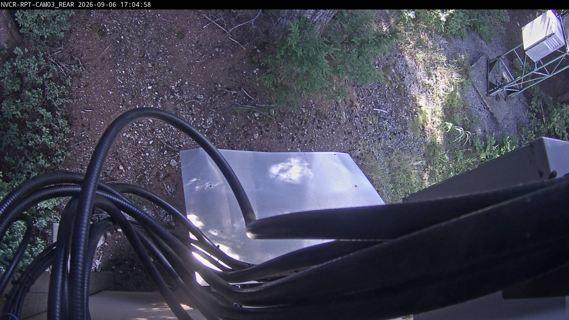 Web Cam History Image - 556