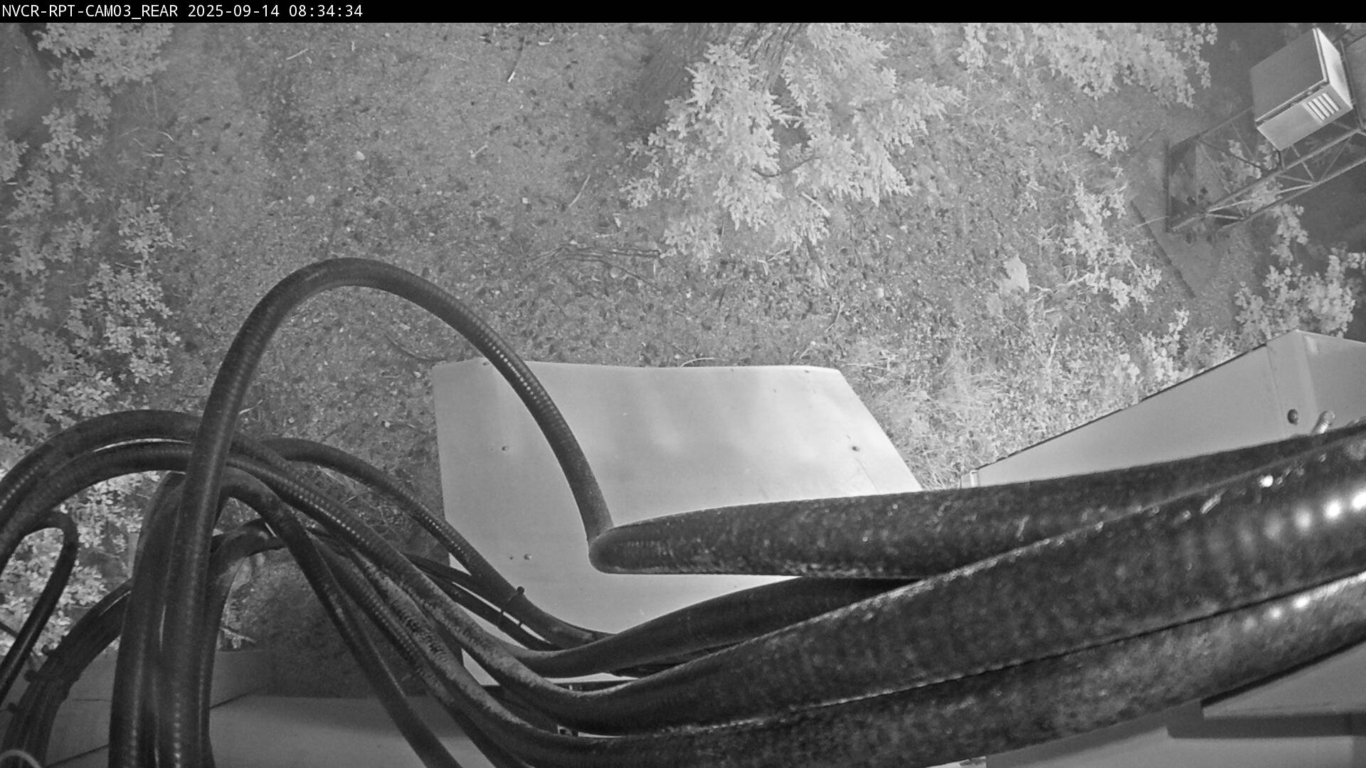 Web Cam History Image - 557