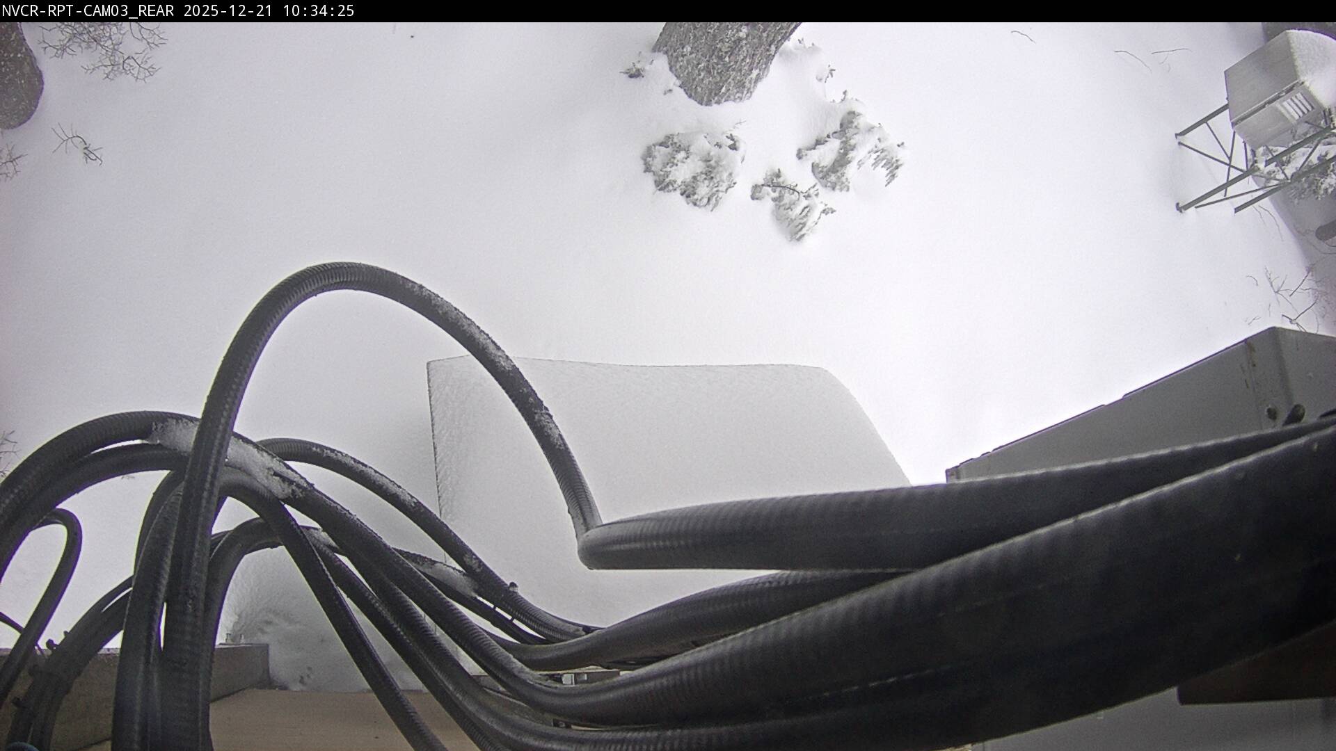 Web Cam History Image - 557