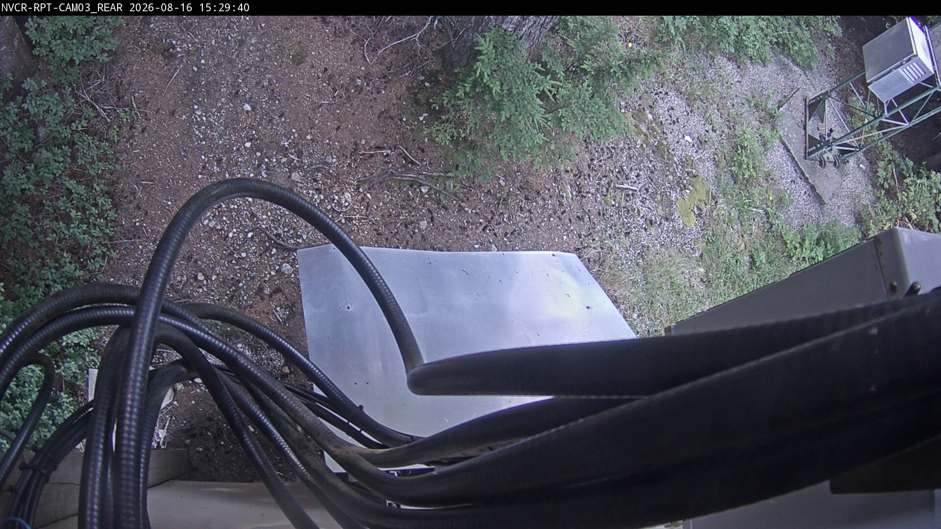 Web Cam History Image - 557
