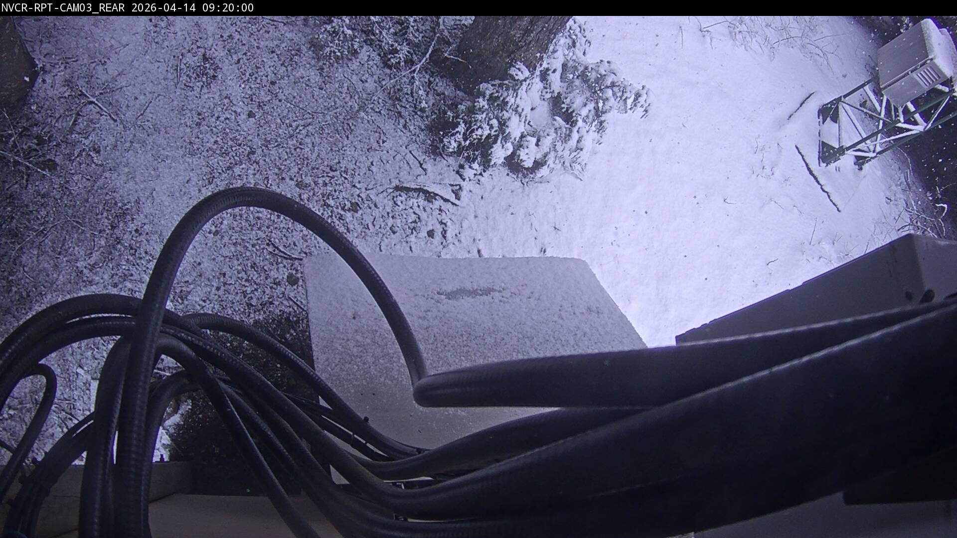 Web Cam History Image - 558