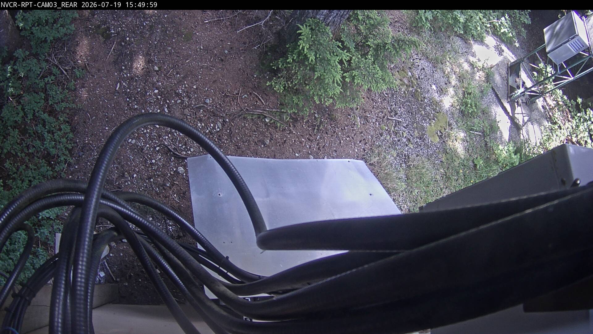Web Cam History Image - 558