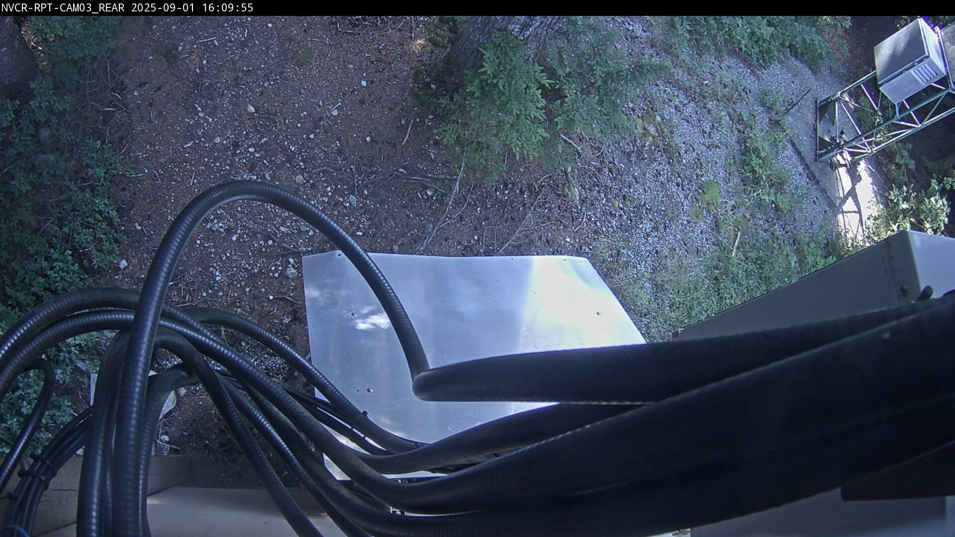 Web Cam History Image - 559