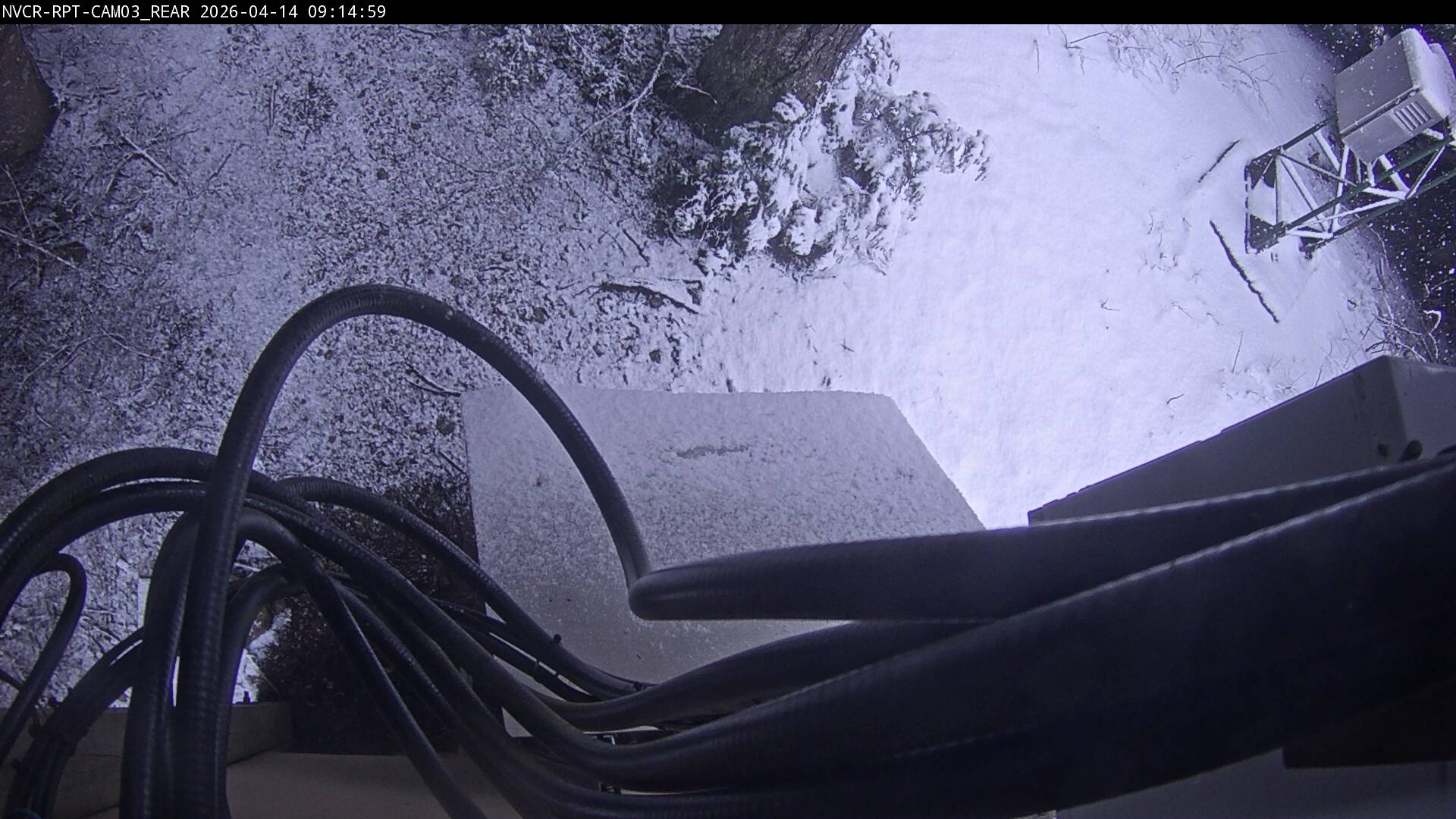 Web Cam History Image - 559