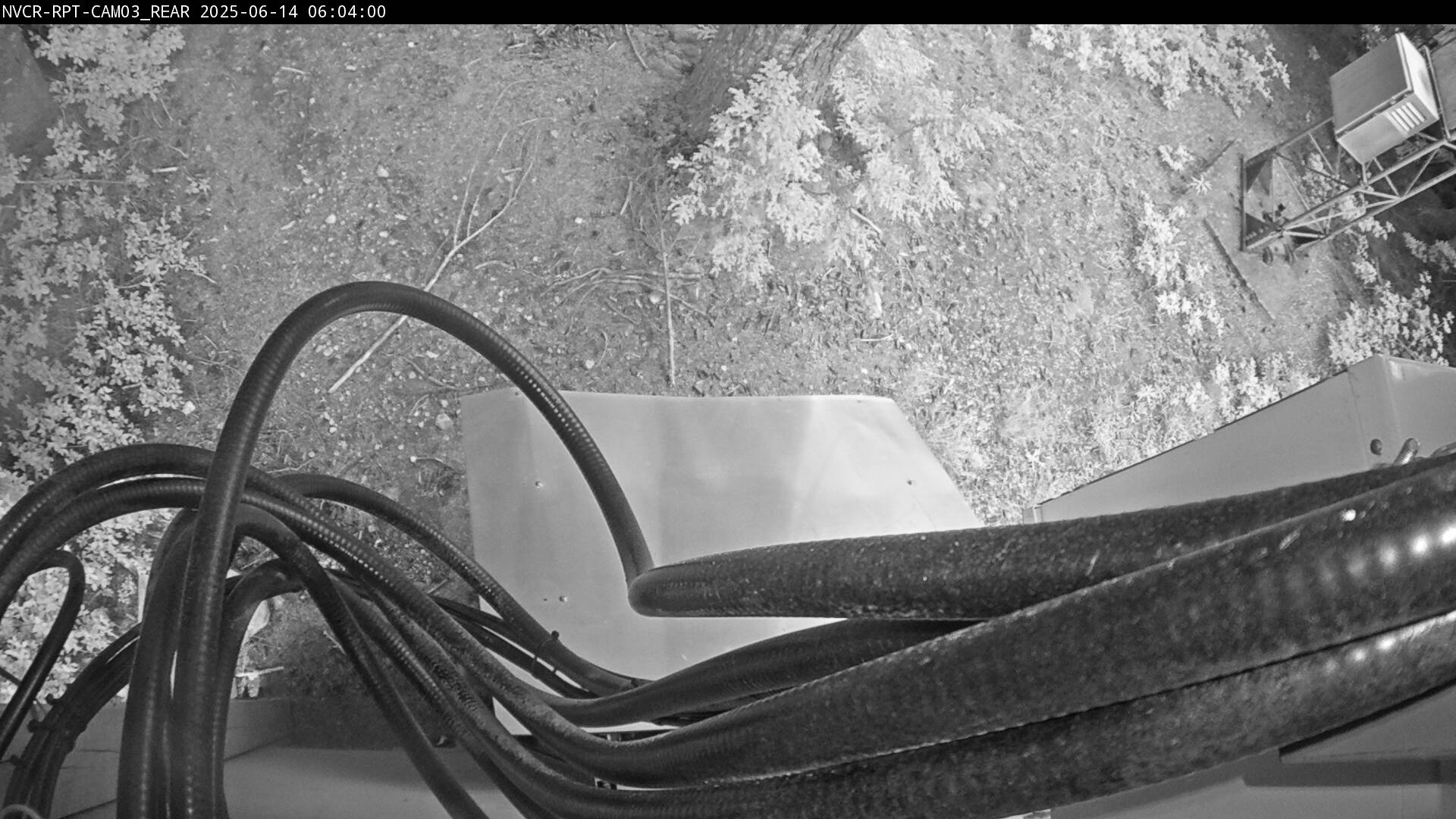 Web Cam History Image - 560