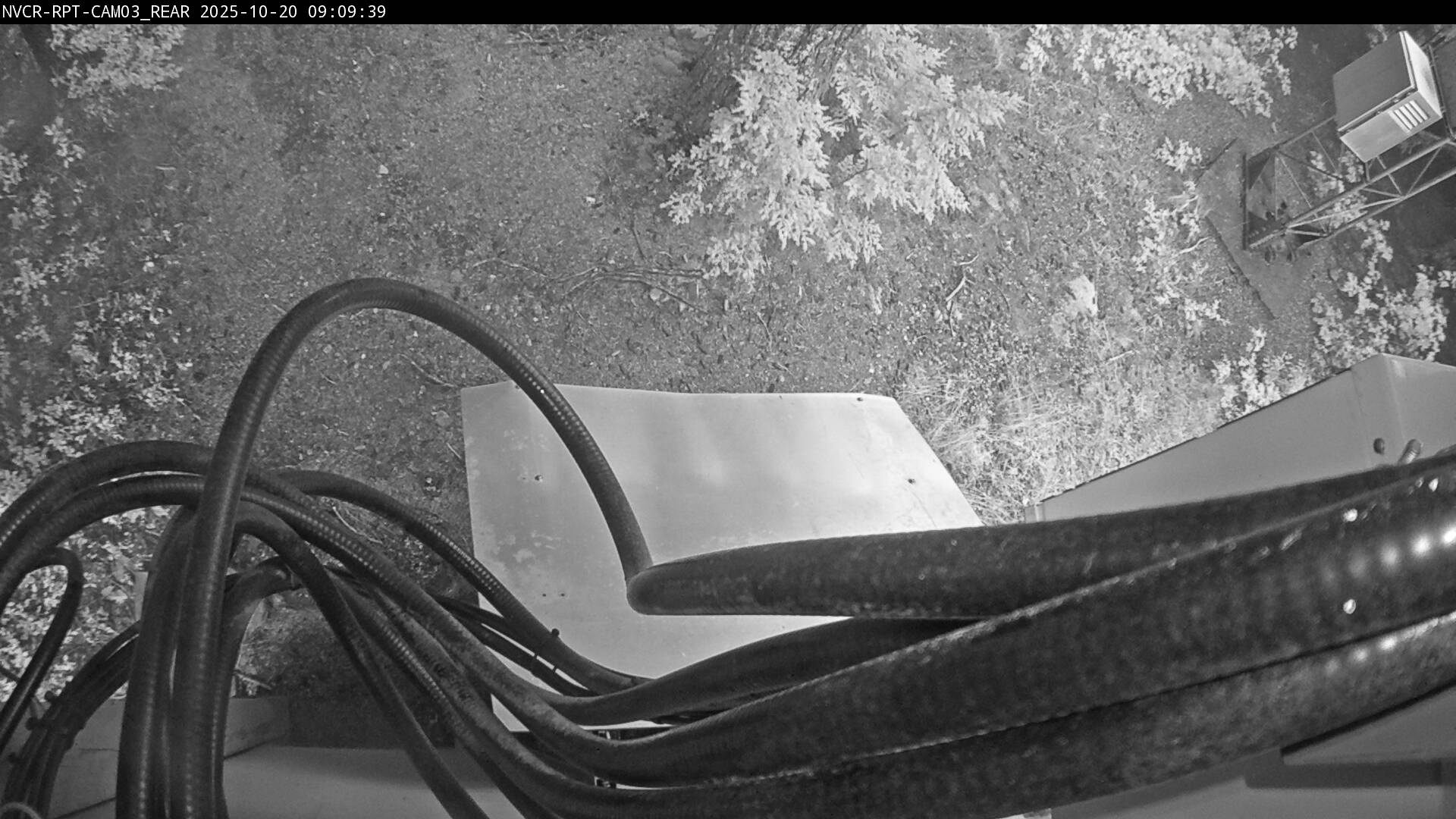Web Cam History Image - 560