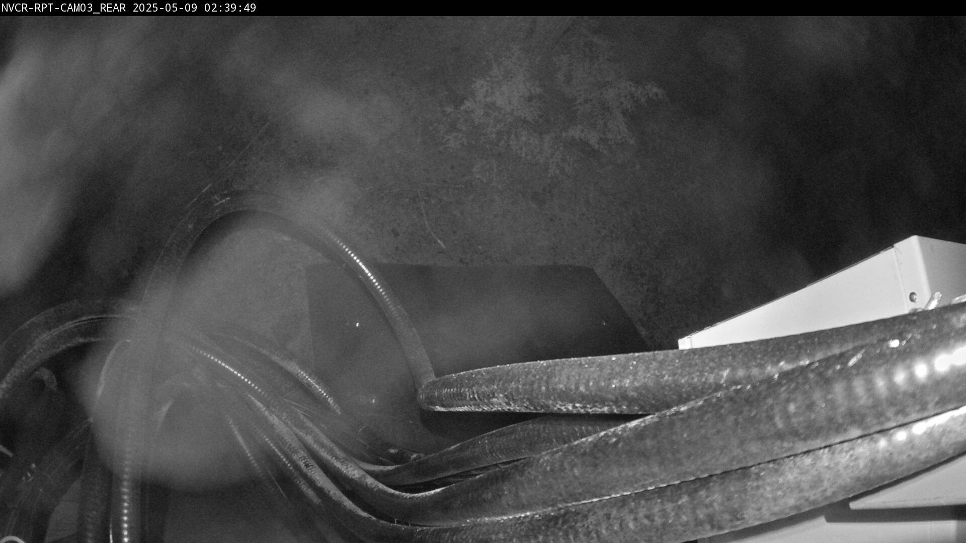 Web Cam History Image - 57