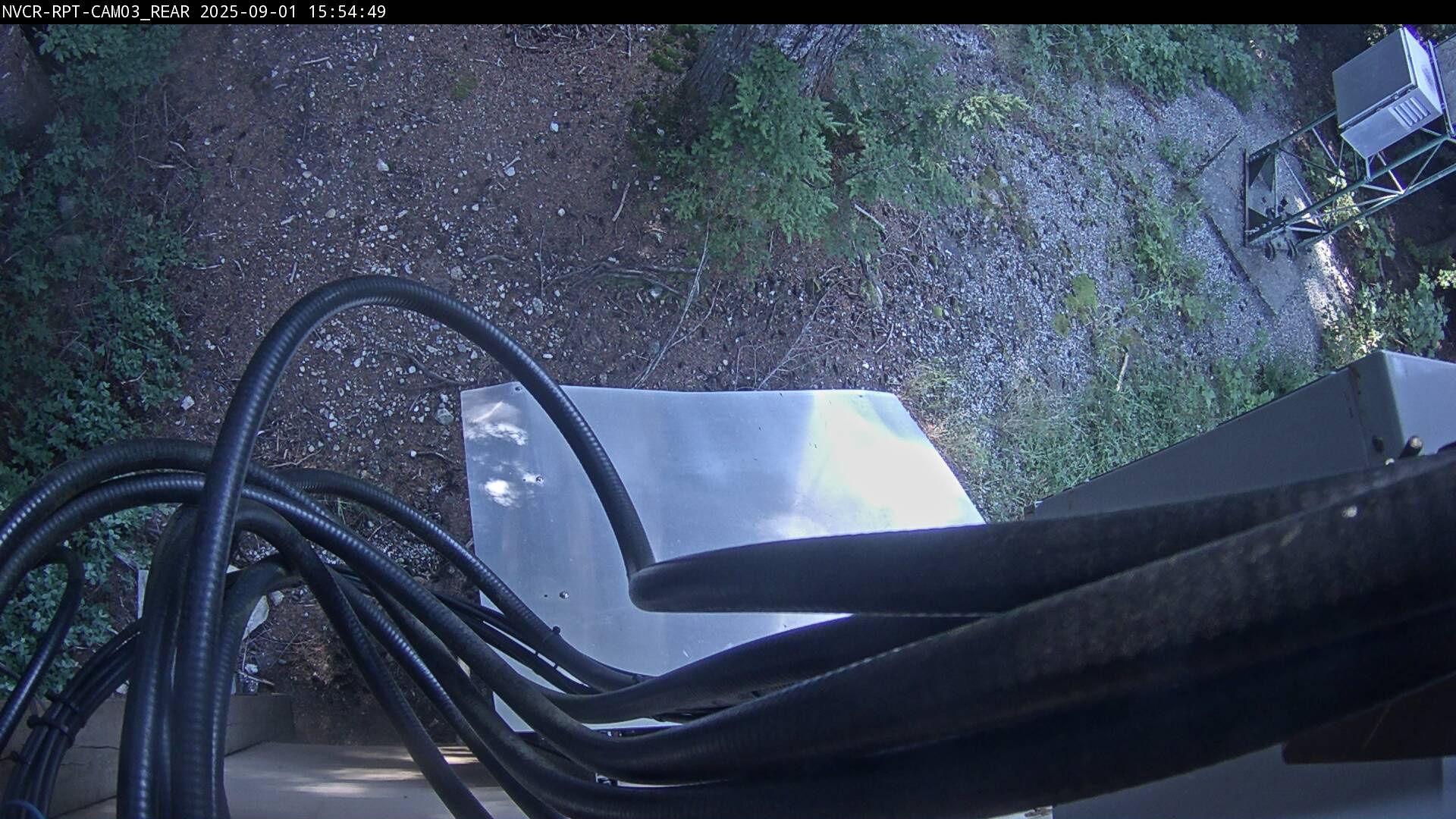 Web Cam History Image - 561
