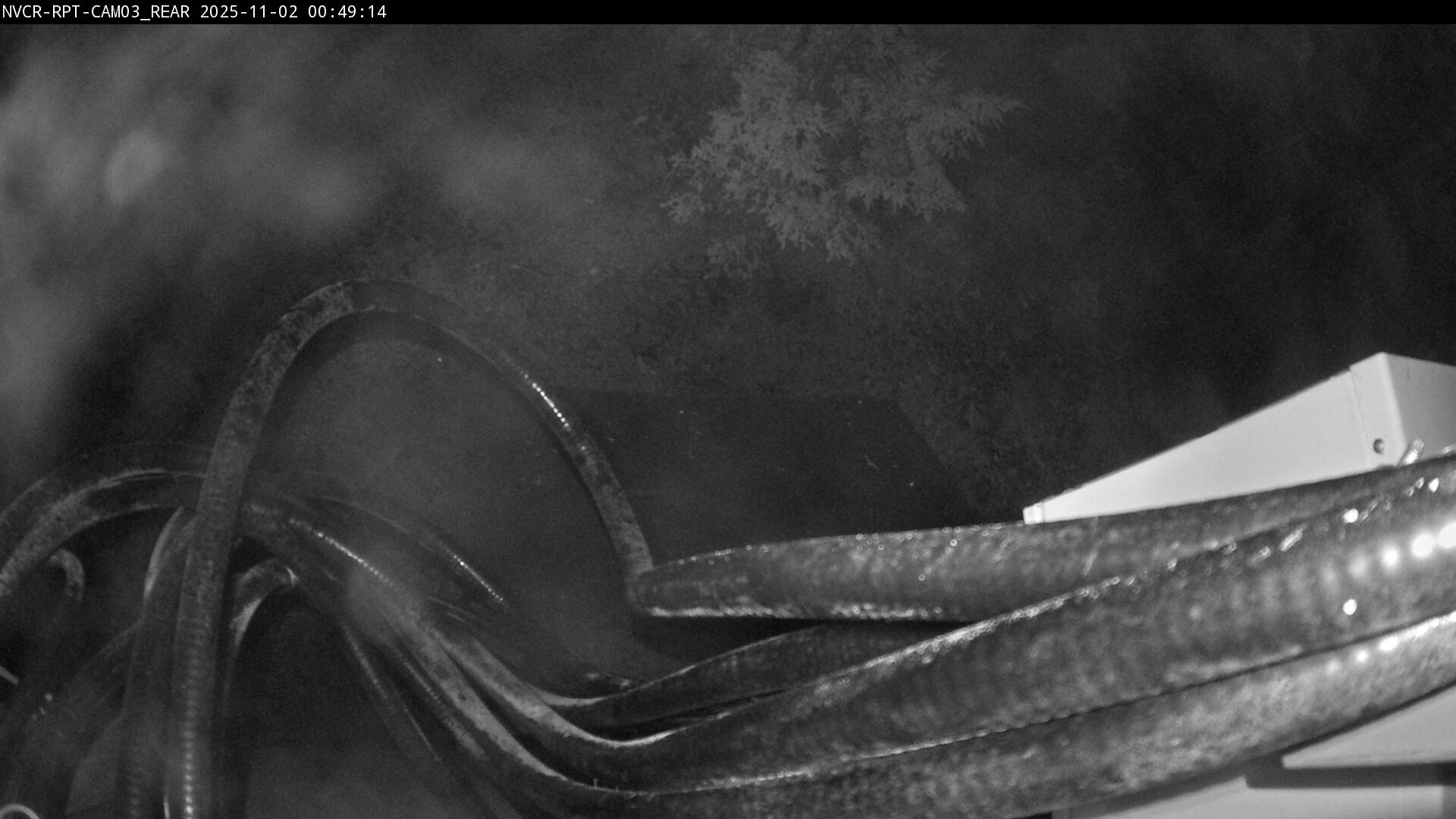 Web Cam History Image - 561