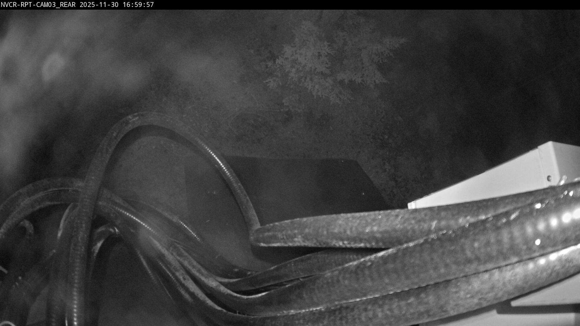 Web Cam History Image - 561