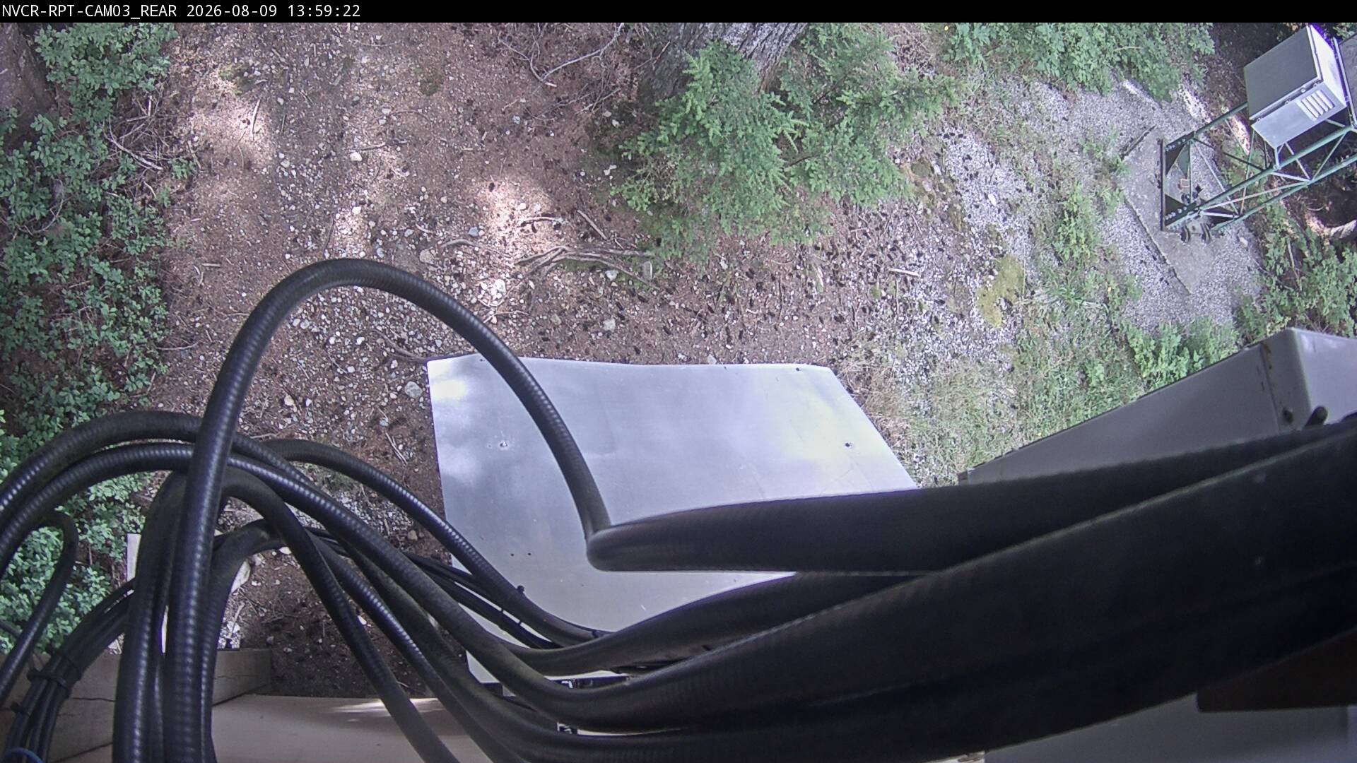 Web Cam History Image - 561