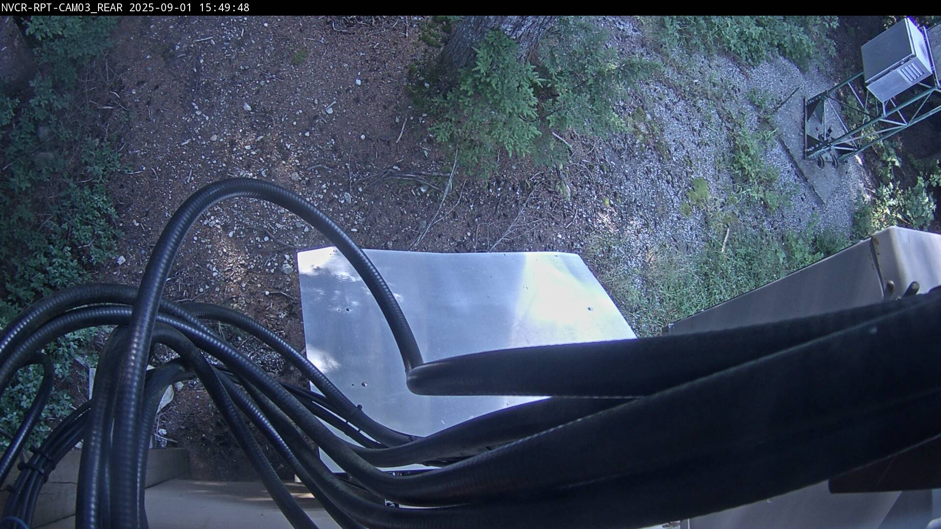 Web Cam History Image - 562