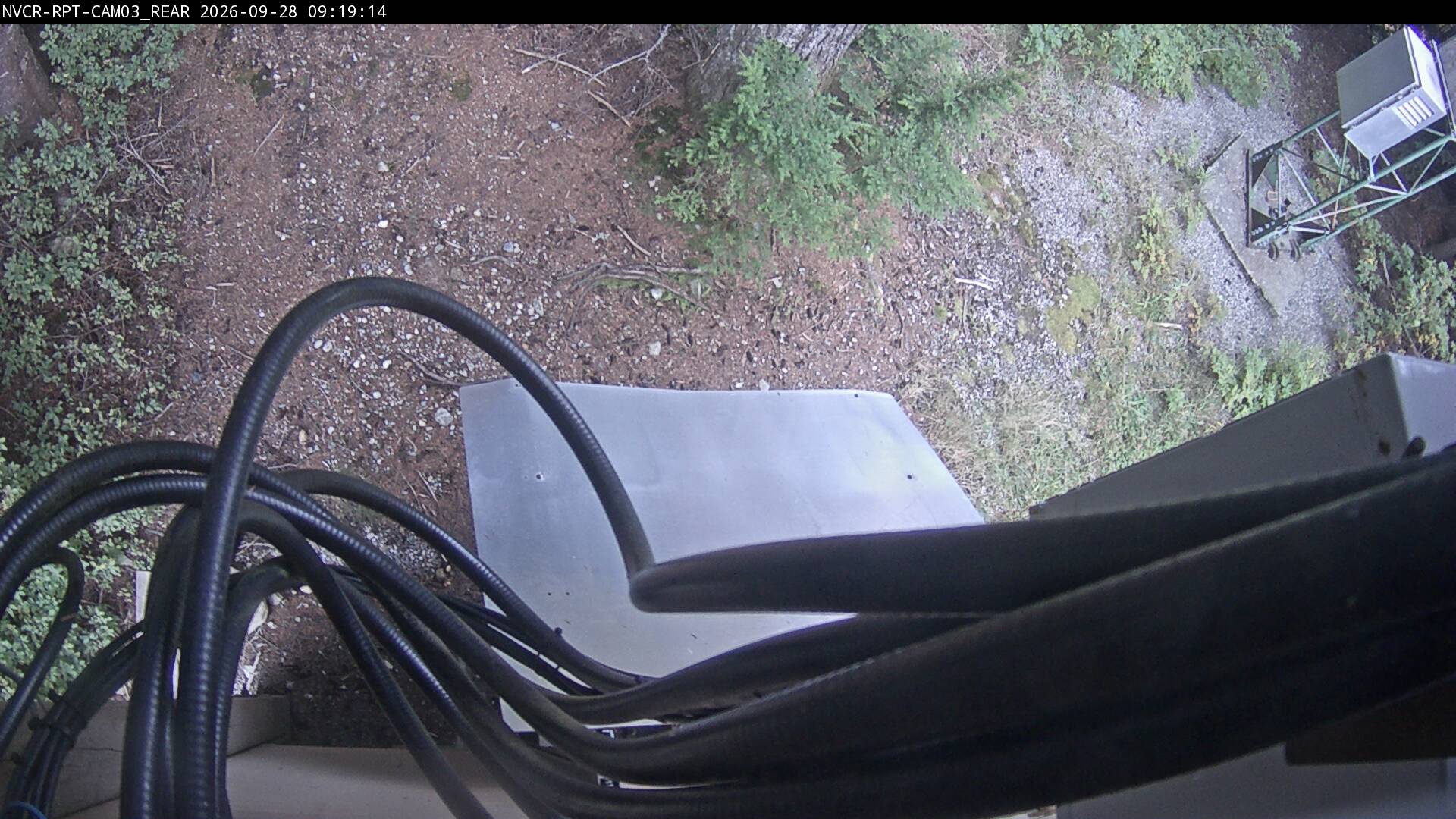 Web Cam History Image - 562