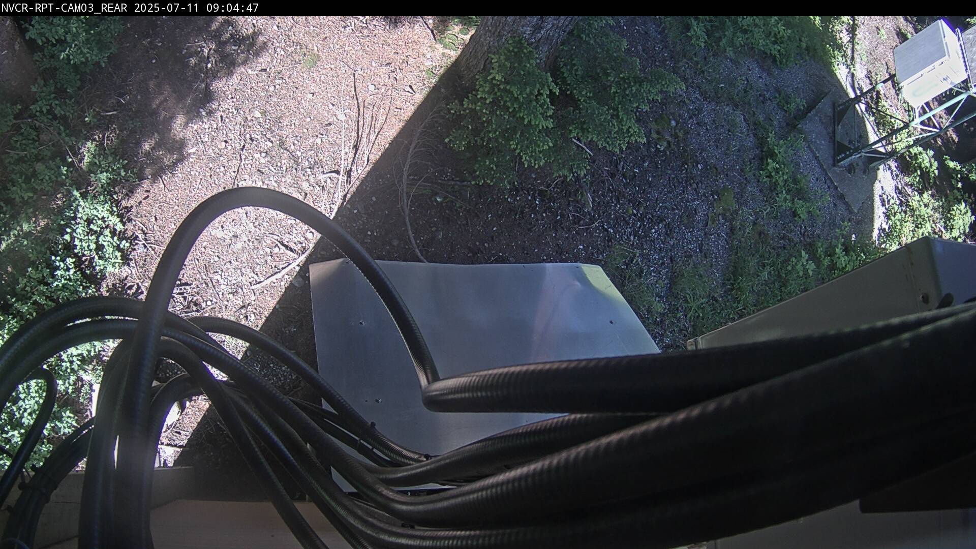 Web Cam History Image - 563