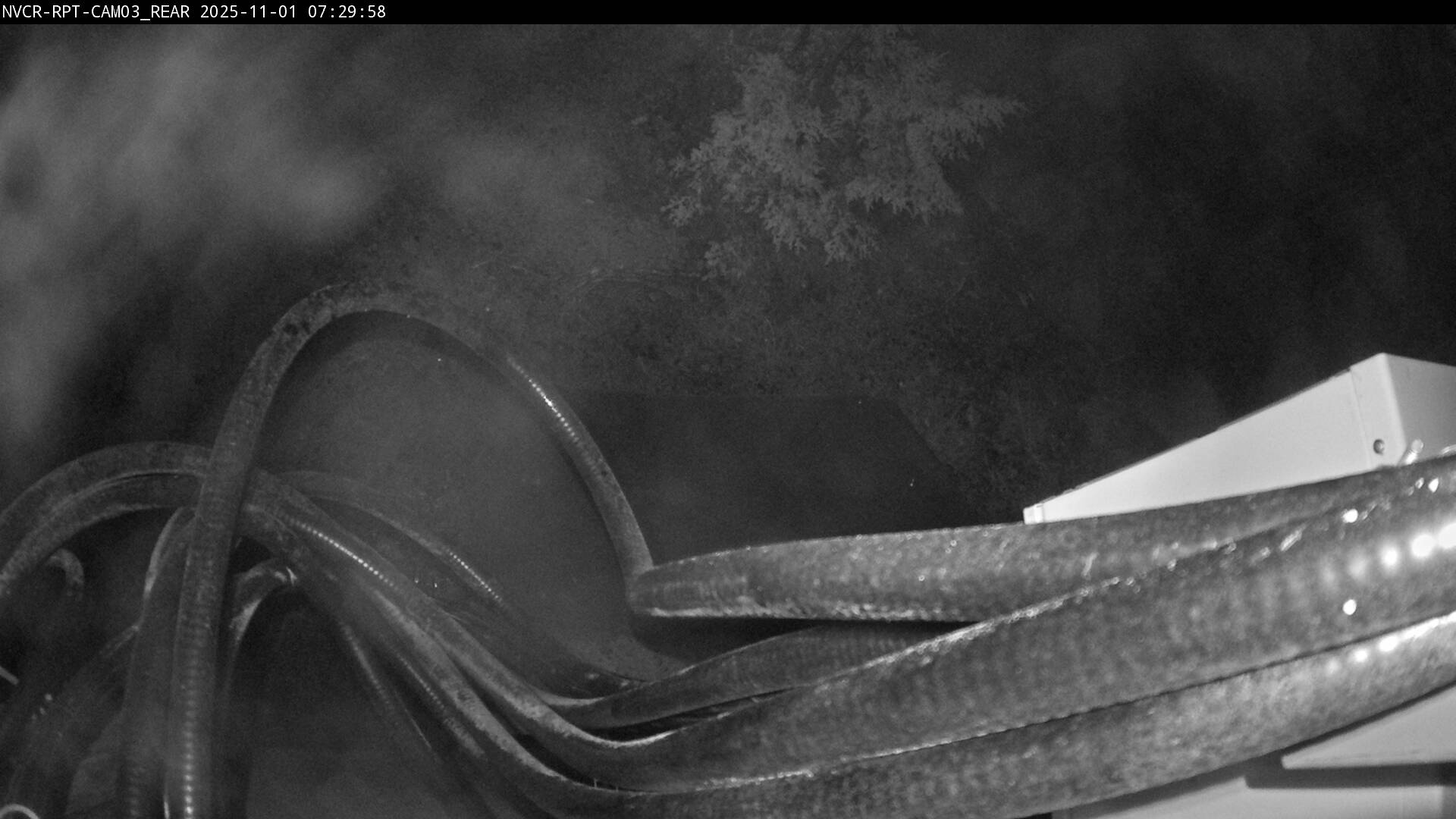 Web Cam History Image - 563