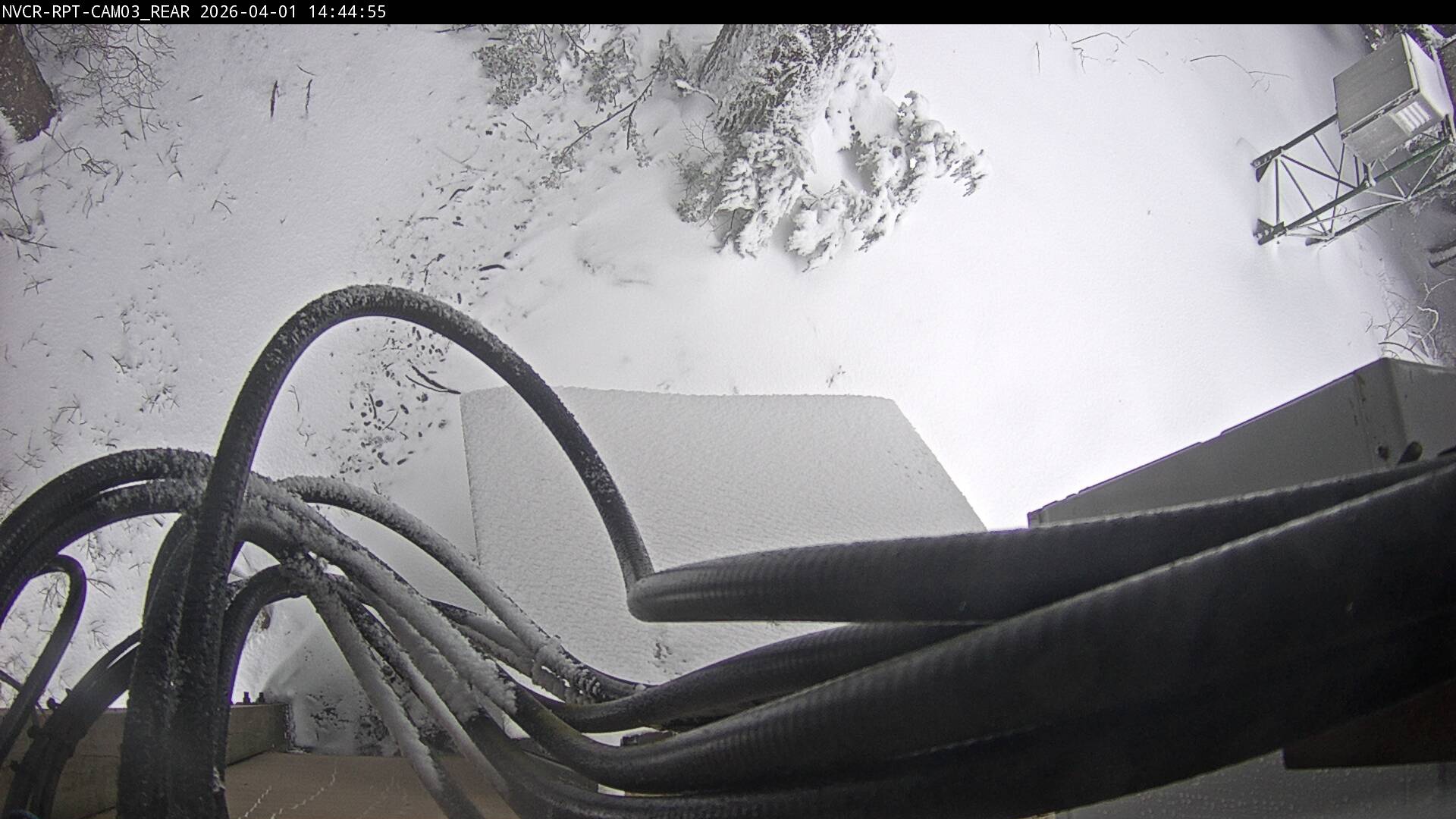 Web Cam History Image - 563