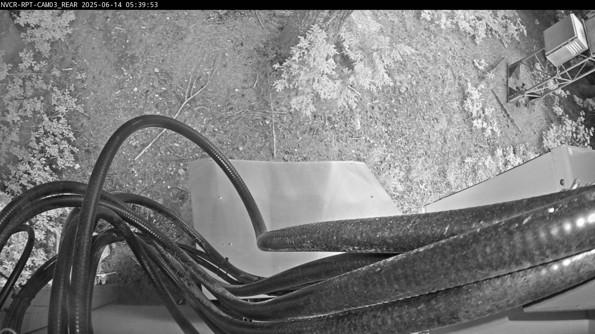Web Cam History Image - 564