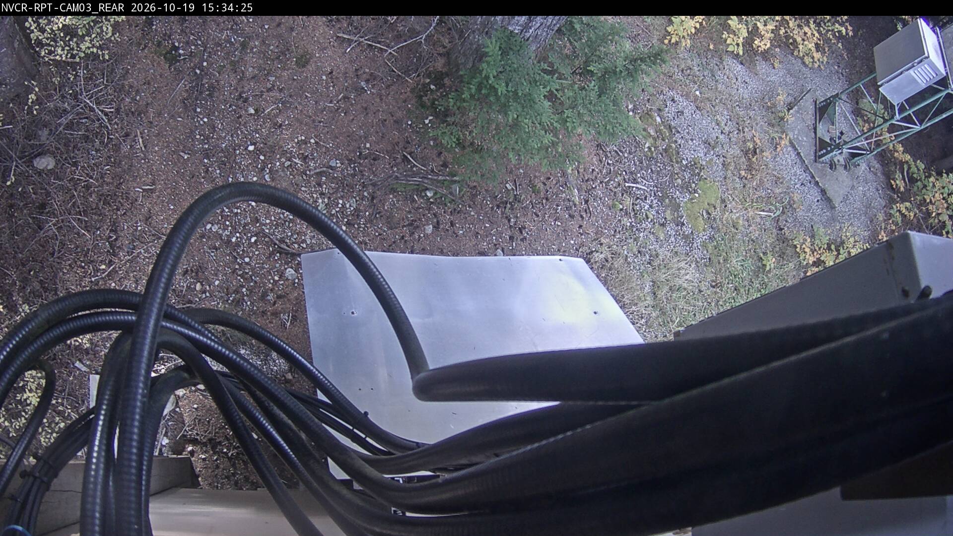 Web Cam History Image - 564