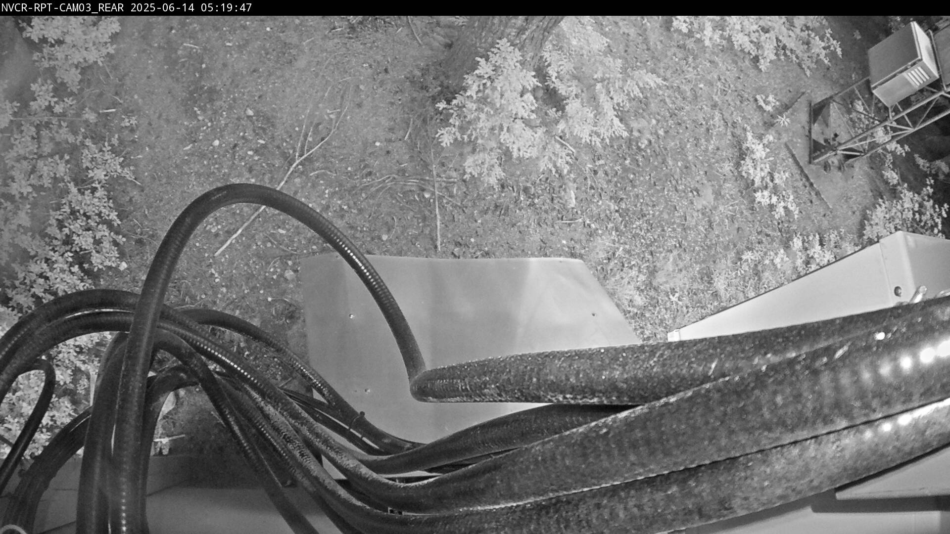 Web Cam History Image - 565