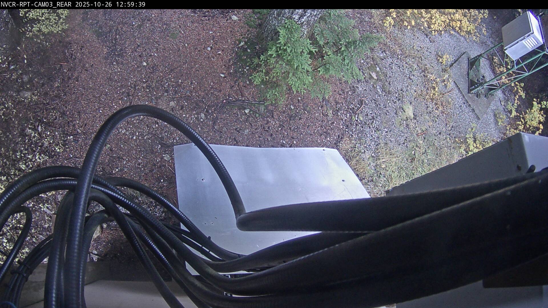 Web Cam History Image - 566