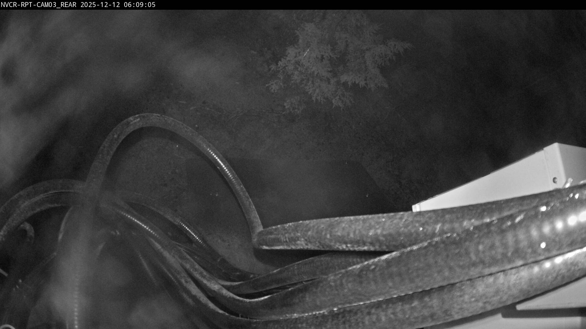 Web Cam History Image - 566