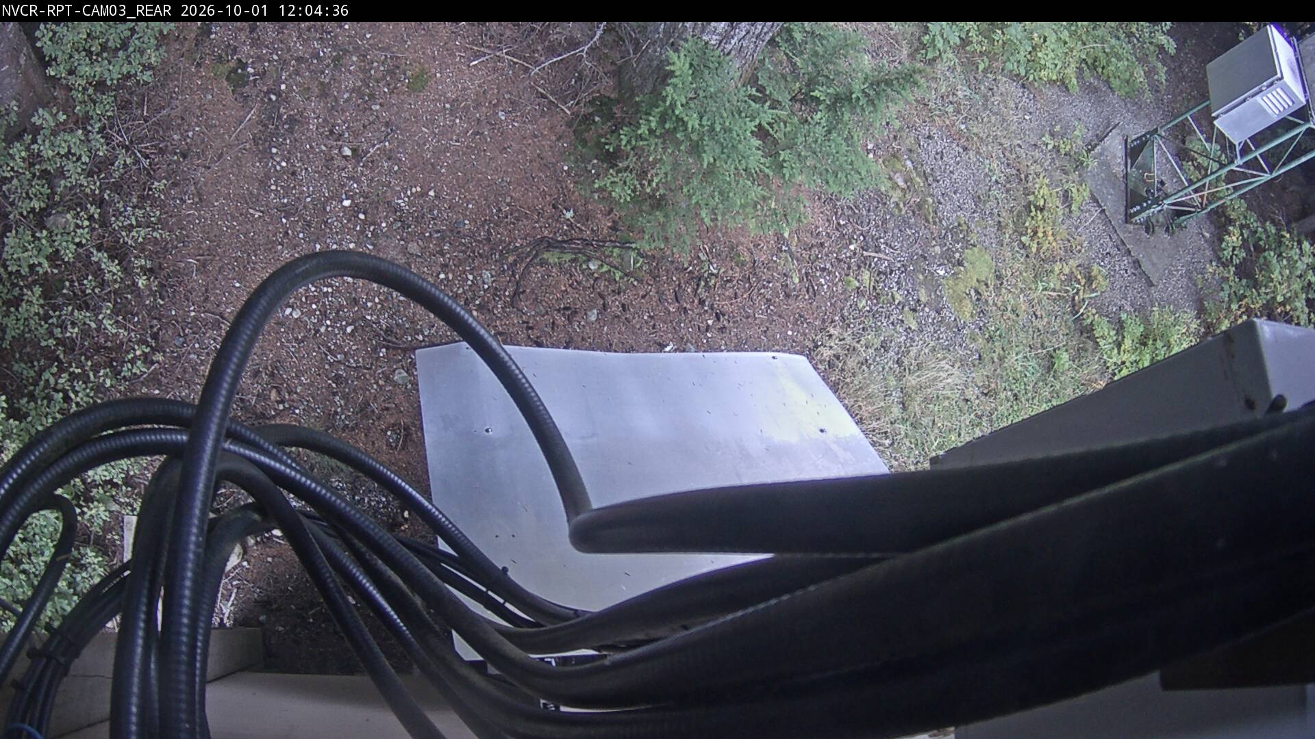 Web Cam History Image - 567