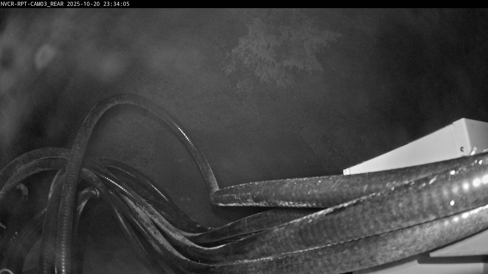 Web Cam History Image - 569
