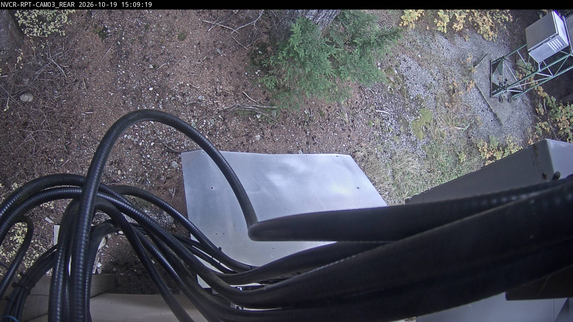 Web Cam History Image - 569