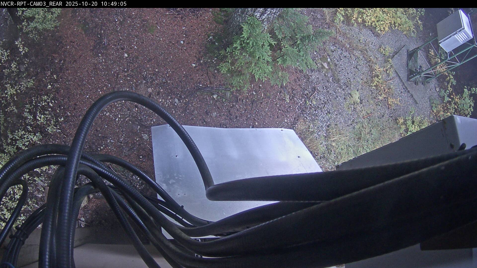 Web Cam History Image - 570