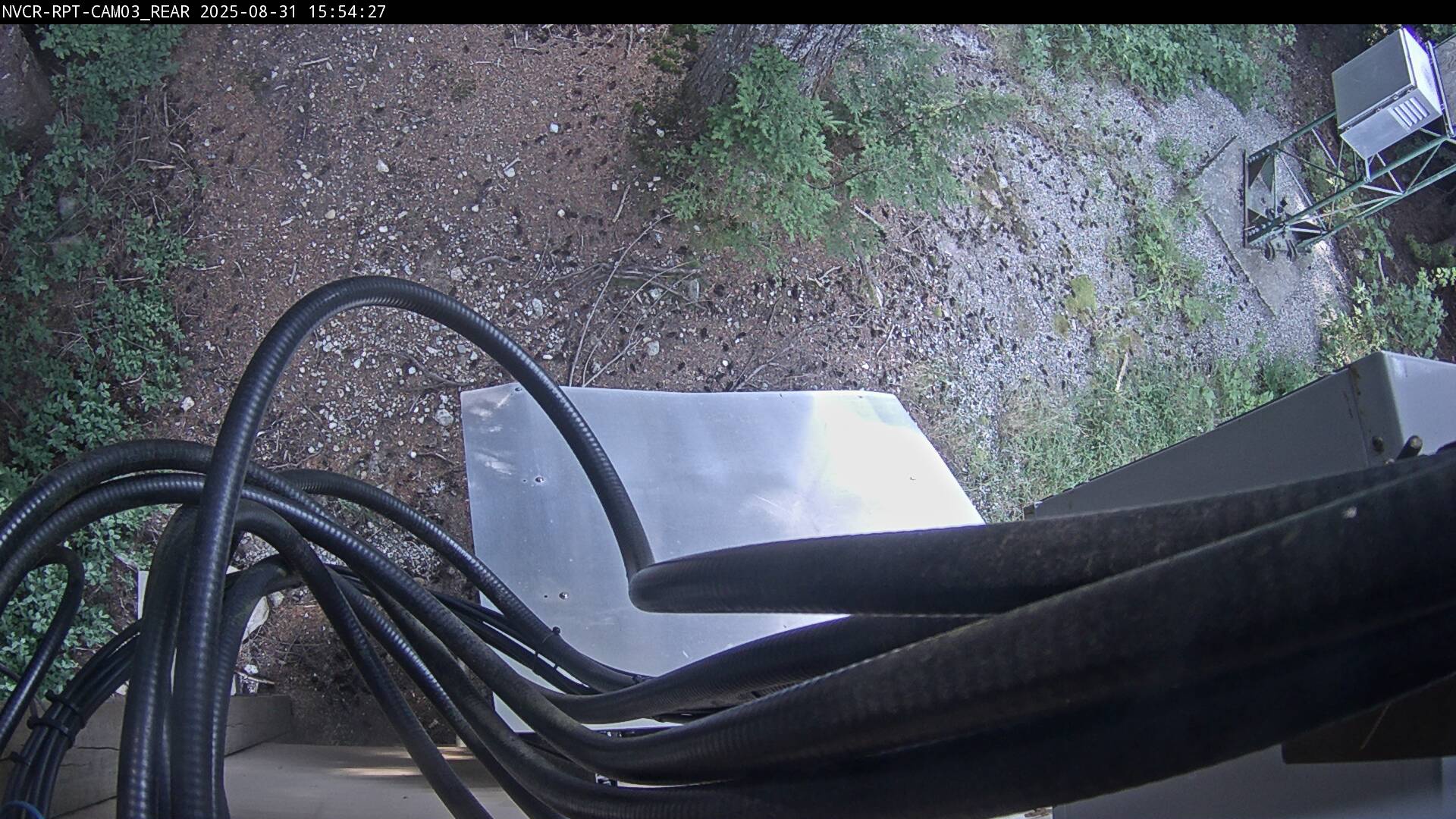 Web Cam History Image - 58