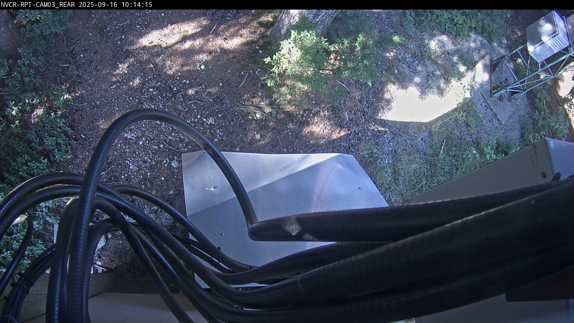 Web Cam History Image - 58