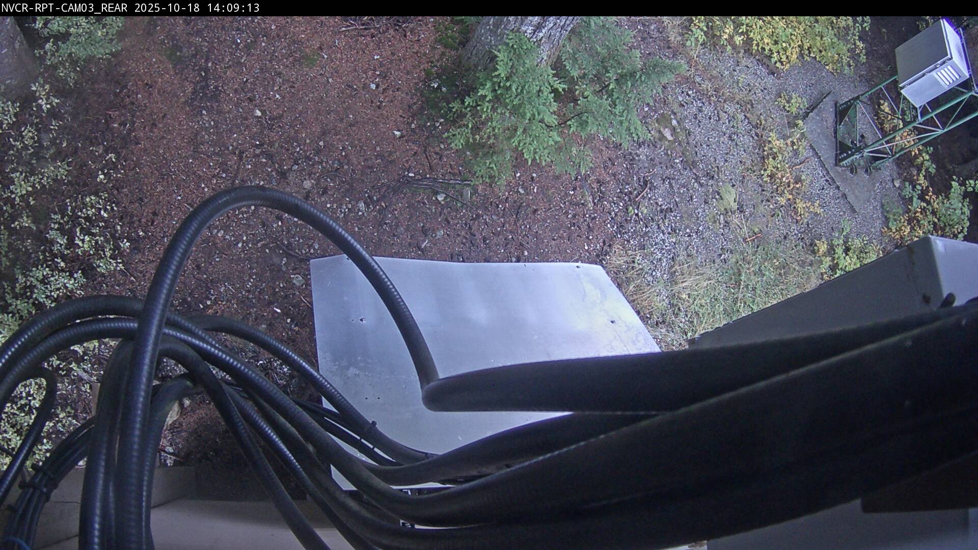 Web Cam History Image - 58