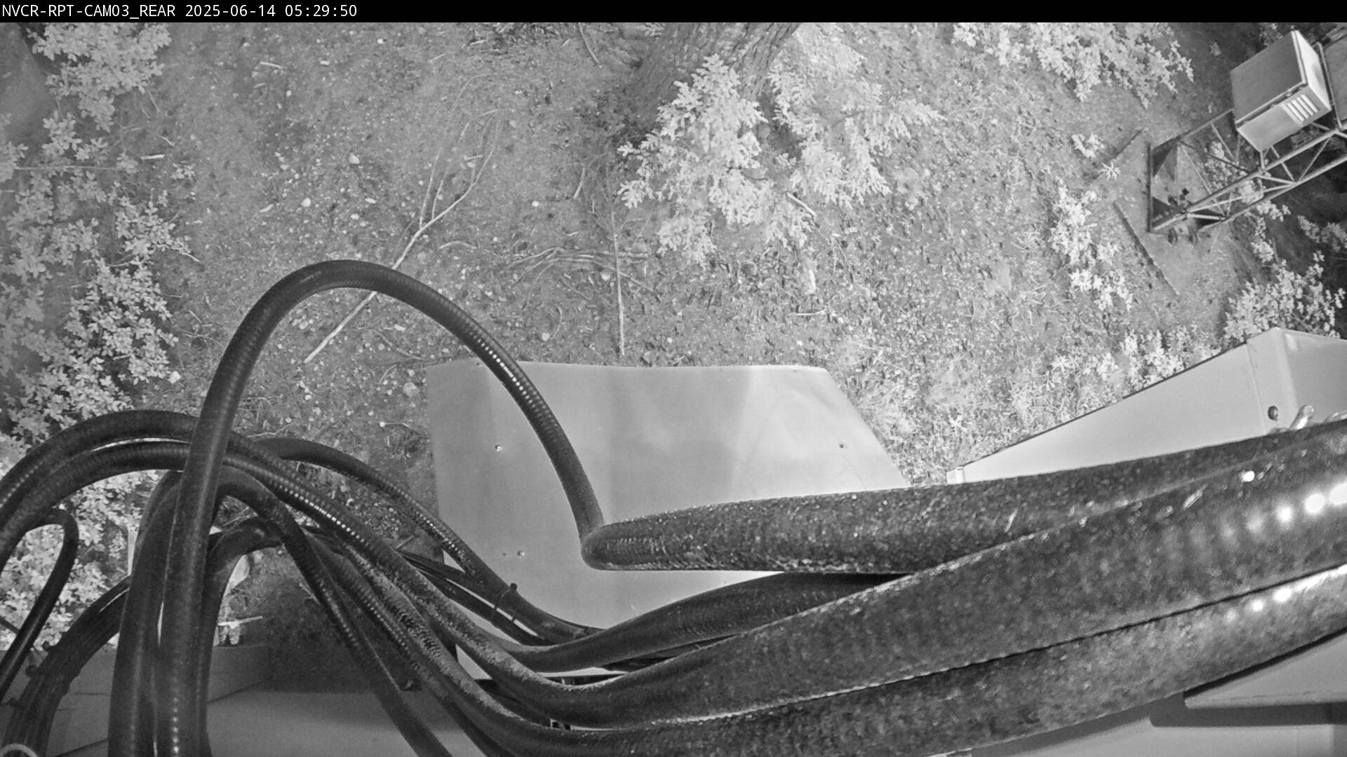Web Cam History Image - 571