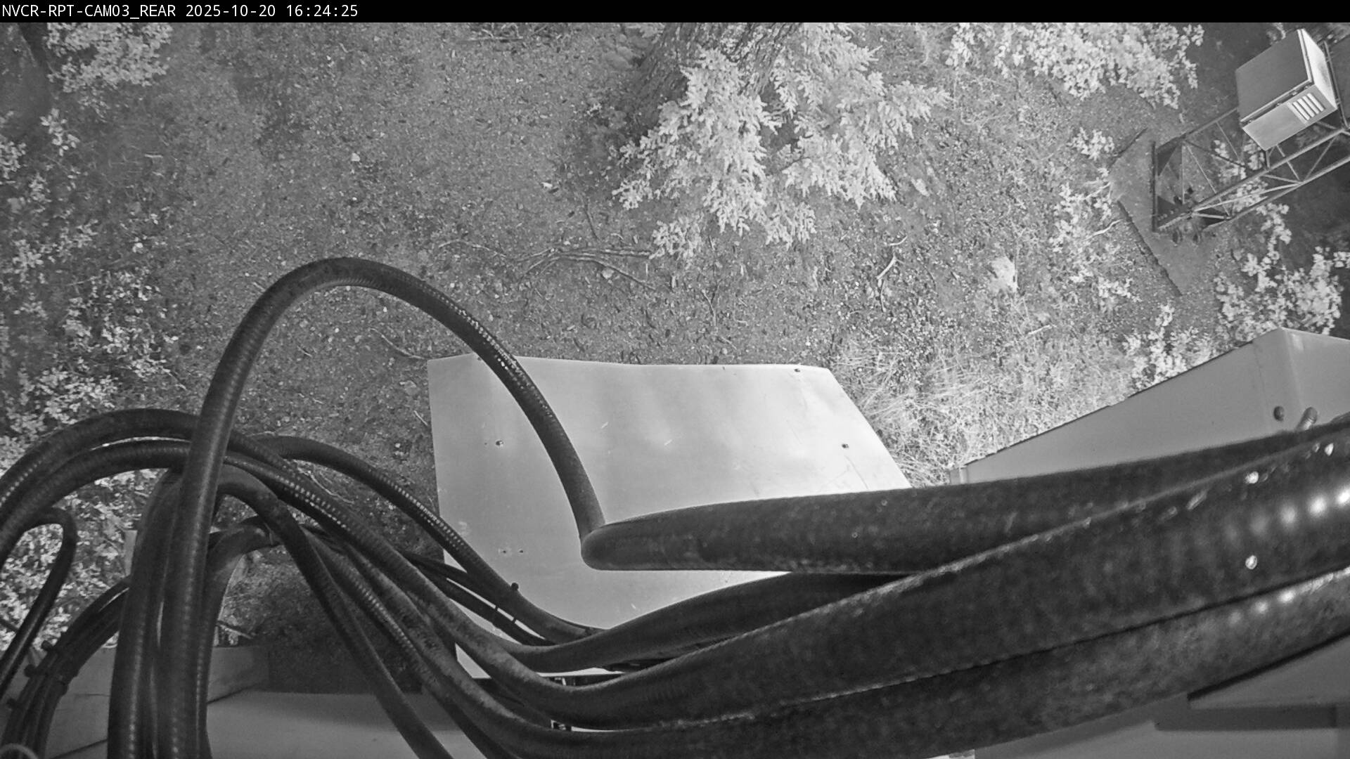 Web Cam History Image - 572