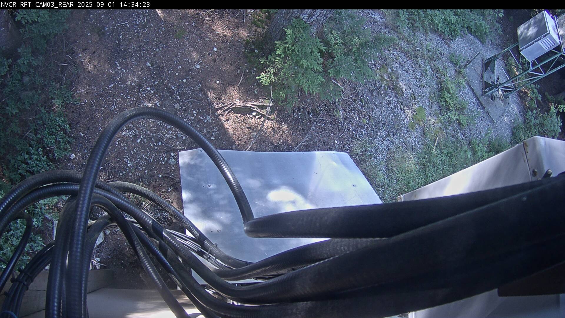 Web Cam History Image - 577