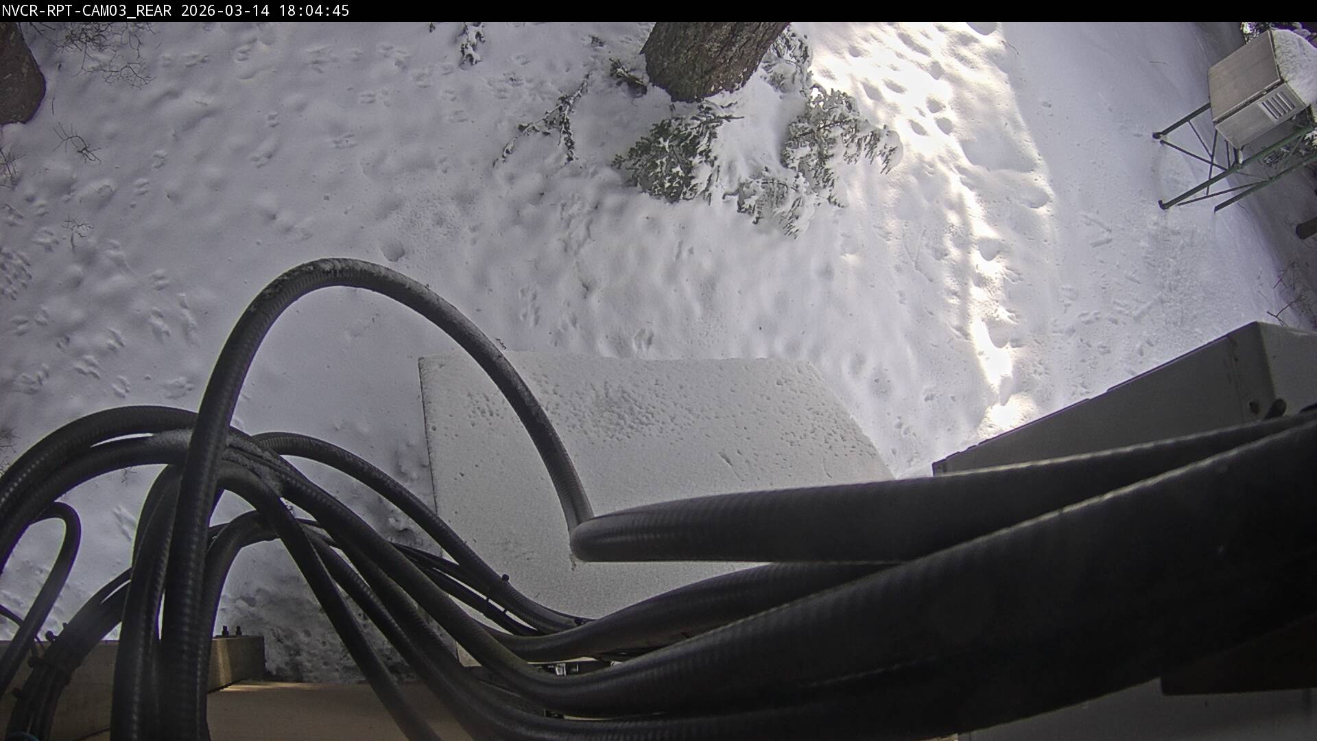 Web Cam History Image - 577