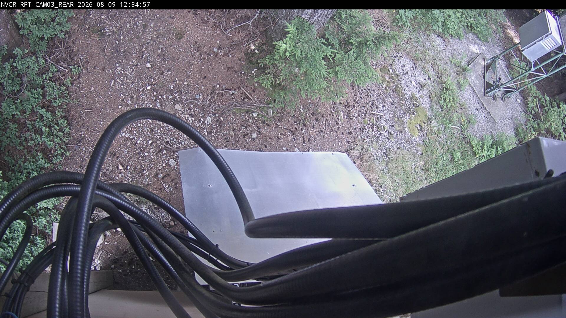 Web Cam History Image - 578