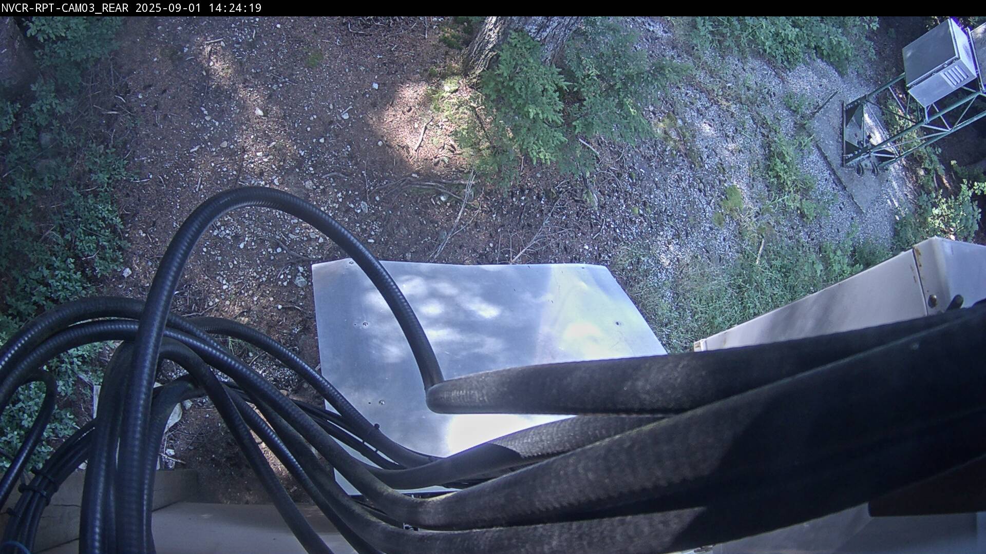 Web Cam History Image - 579