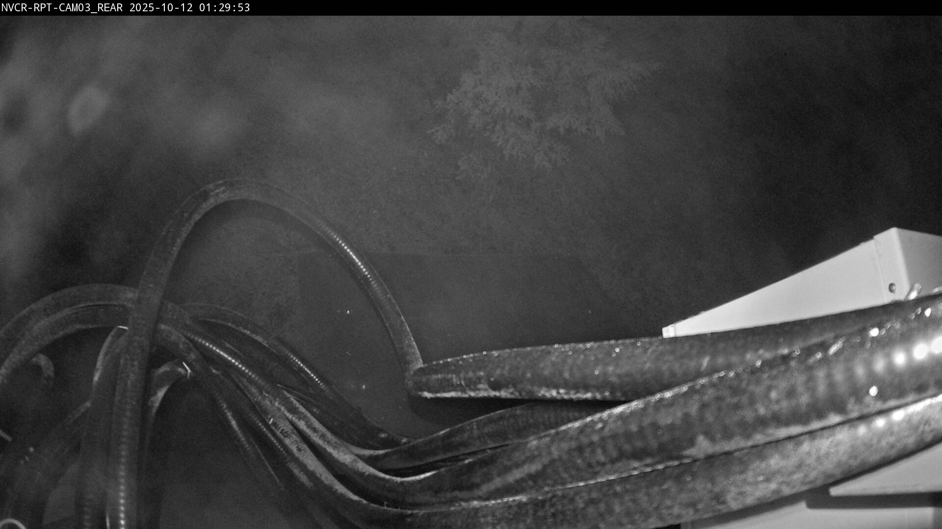 Web Cam History Image - 580
